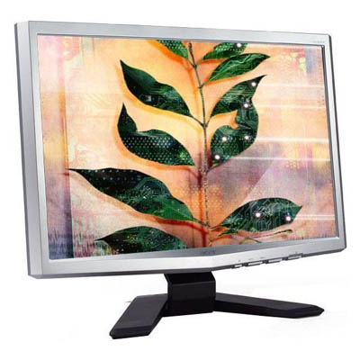 монитор Acer X193Wsd