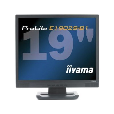монитор Iiyama ProLite E1902SV-B