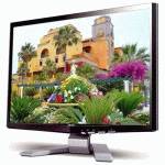 Монитор Acer P243WAbid