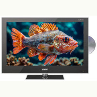 Телевизор BBK LED2255FDT