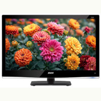 Телевизор BBK LEM2449FDT
