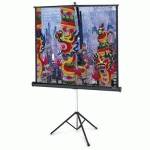 Экран для проектора Projecta Professional 10430110