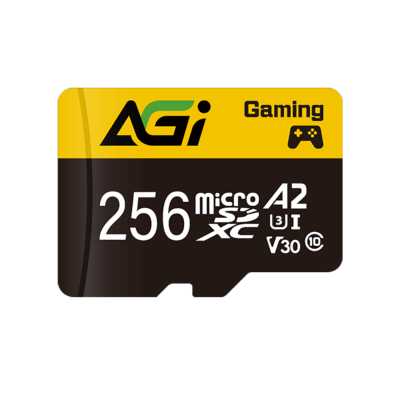 Карта памяти AGI 256GB AGI256GGSTF138-R2