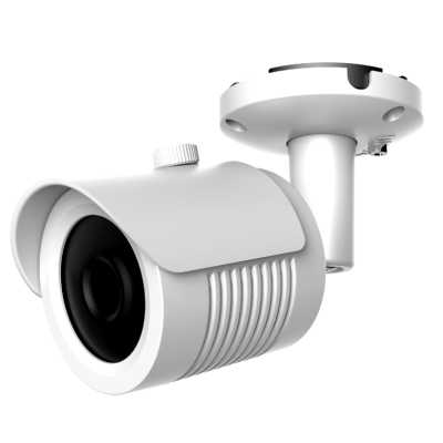 Аналоговая видеокамера AltCam DCF81IR