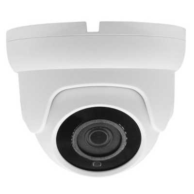 аналоговая видеокамера AltCam DDMF81IR