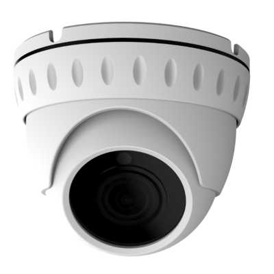 Аналоговая видеокамера AltCam DDMV81IR