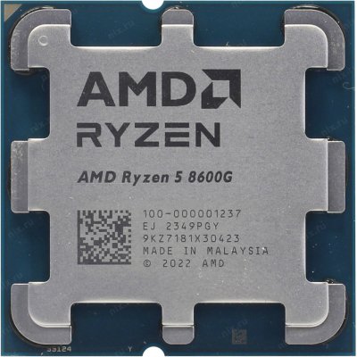 amd 8600g