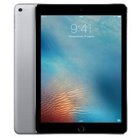 Планшет Apple iPad Pro 9.7 256Gb Wi-Fi MLMY2RU/A