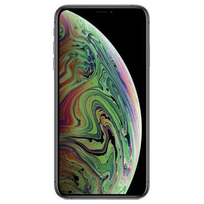 смартфон Apple iPhone Xs Max MT532RU/A