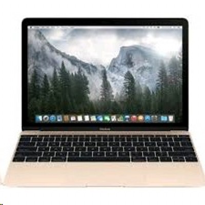ноутбук Apple MacBook MK4N2