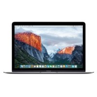 Ноутбук Apple MacBook Z0TY0002T