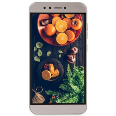 смартфон Ark Benefit M551 Gold