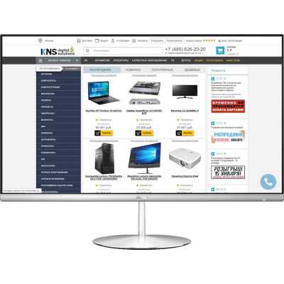 моноблок ASUS Zen ZN242GDK-CA019R 90PT0231-M05380
