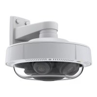 IP видеокамера Axis P3719-PLE