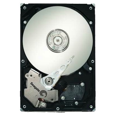 жесткий диск Seagate ST3250318AS