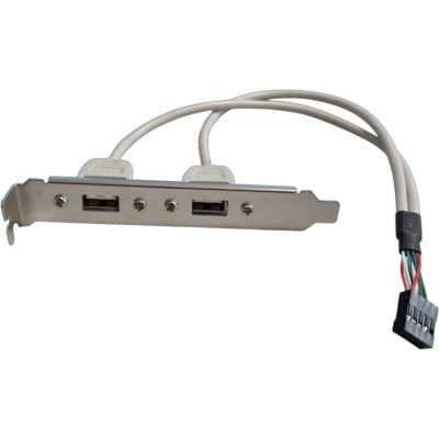 Планка портов Bion BXP-MB-2USB
