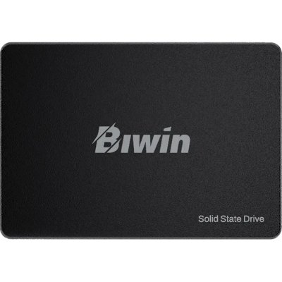 SSD диск Biwin M100 1Tb BM100NN01TB-RGX