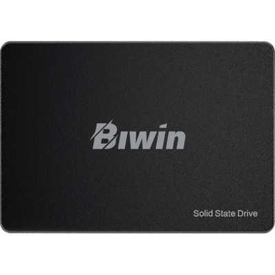 SSD диск Biwin M100 256Gb BM100NN256G-RGX