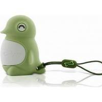 Флешка Bone 2GB Cactus USB