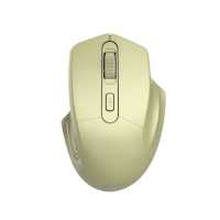 Мышь Canyon MW-15 CNE-CMSW15GO