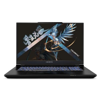 Ноутбук Colorful EVOL X17 Pro Max A10003400459