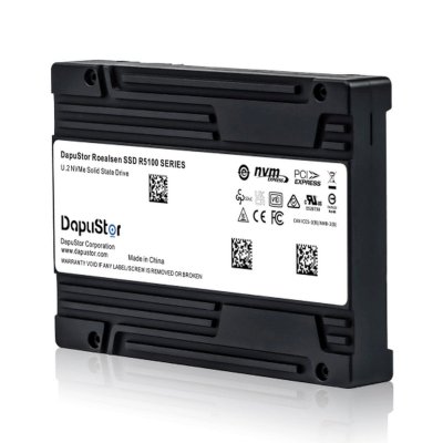 SSD диск DapuStor R5101 3.84Tb