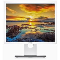 Монитор Dell P1917S White