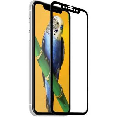 Защитное стекло DF poColor-10 Black