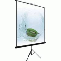 Экран для проектора Dinon Tripod 240x240 MW
