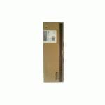 Картридж Epson C13T591700