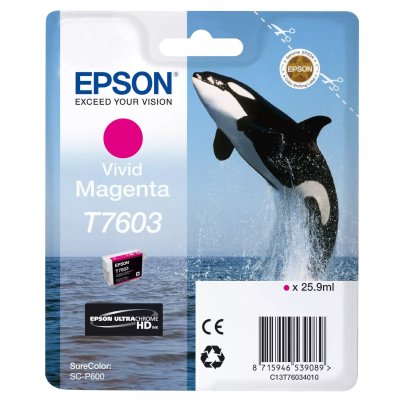 Картридж Epson T7603 C13T76034N10