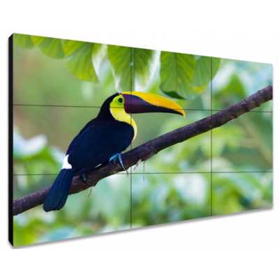 Панель для видеостены Exell EXPD-WA55AB15