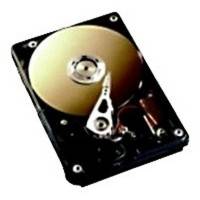 Жесткий диск Fujitsu ETLSA6HBG-L