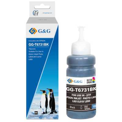 Чернила G&G GG-C13T67314A