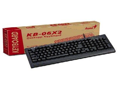 клавиатура Genius KB-06XE PS/2 Brown