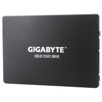 GigaByte 256Gb GP-GSTFS31256GTND