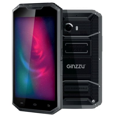 смартфон Ginzzu RS96D Black