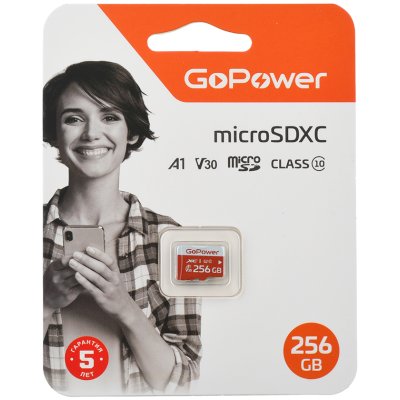 карта памяти GoPower 256GB 00-00025684