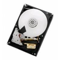 Жесткий диск HGST 0F22811