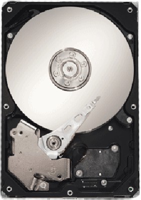 жесткий диск Seagate ST31000525SV
