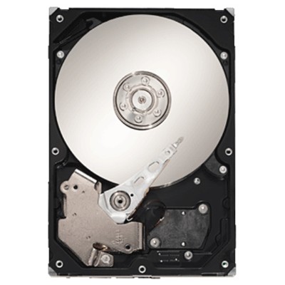 жесткий диск Seagate ST310005N1D1AS-RK
