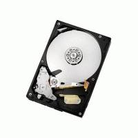 Жесткий диск Hitachi HCS5C1010CLA382