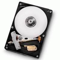 Жесткий диск Hitachi HDS721010DLE630