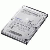 Жесткий диск Samsung HN-M160MBB