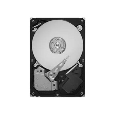 жесткий диск Seagate-Maxtor STM3160318AS