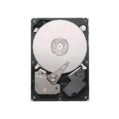 жесткий диск Seagate ST3160316СS