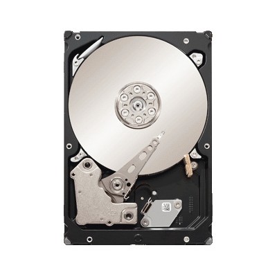 жесткий диск Seagate ST32000644NS