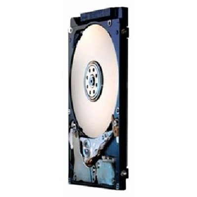 жесткий диск Hitachi HTS545025A7E380