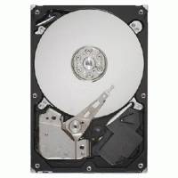 Жесткий диск Seagate ST250DM001