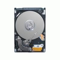 Жесткий диск Seagate ST250LM004